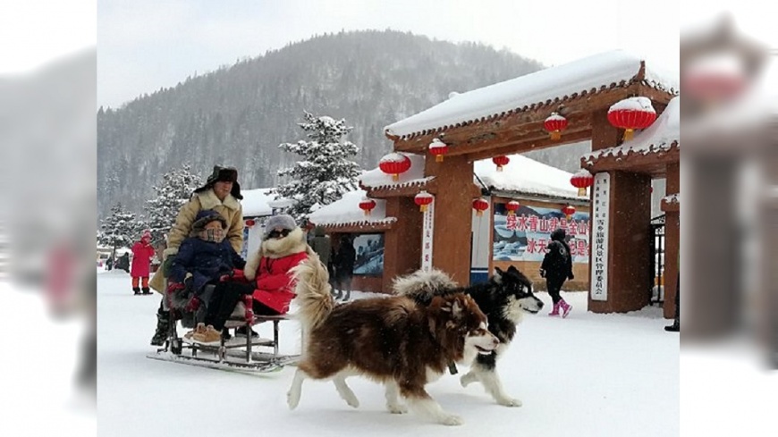 哈爾濱冰雪大世界 開幕倒數低溫中趕工