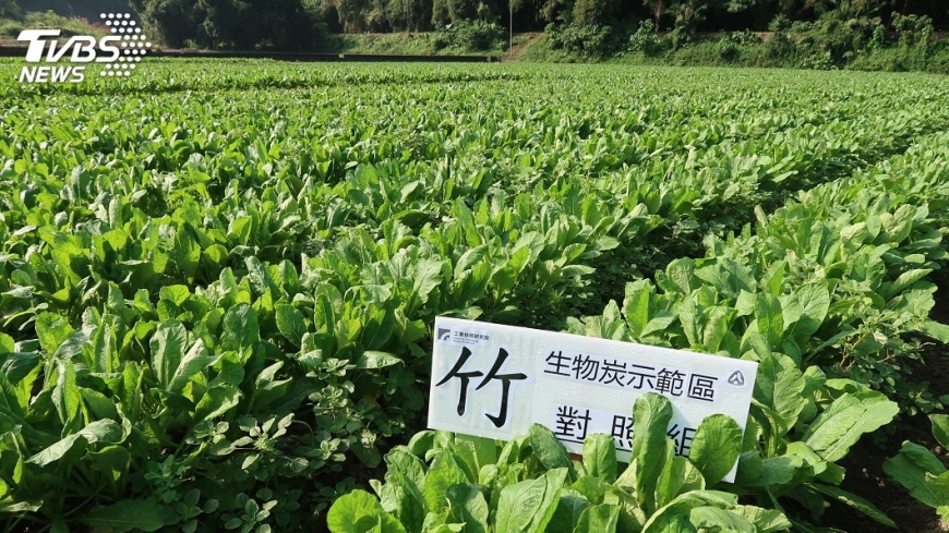 美濃新經濟 入股白玉蘿蔔收益加值