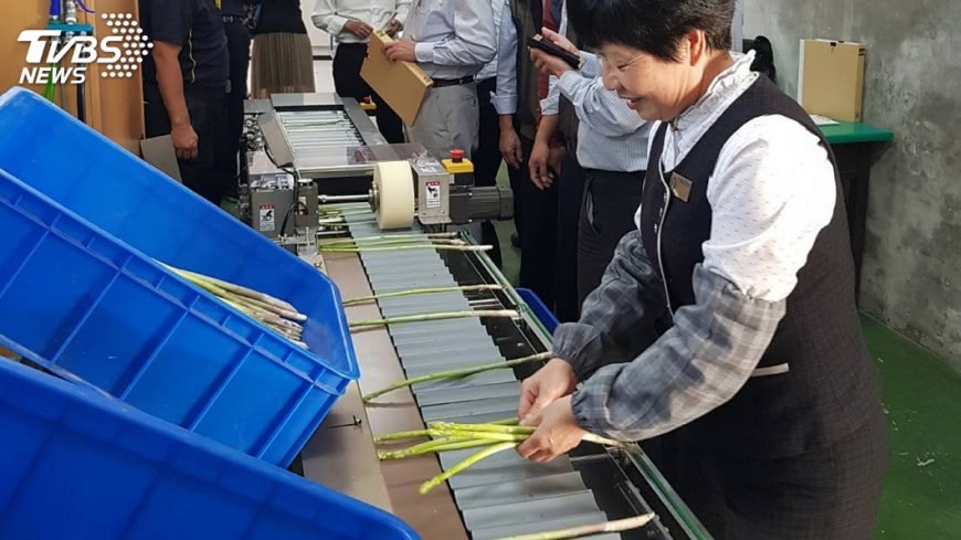 紓緩農業缺工 蘆筍選別機進駐產區