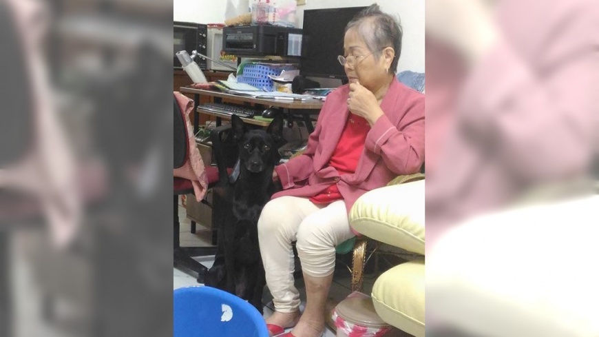 圖/臉書《哇係烏米》授權提供