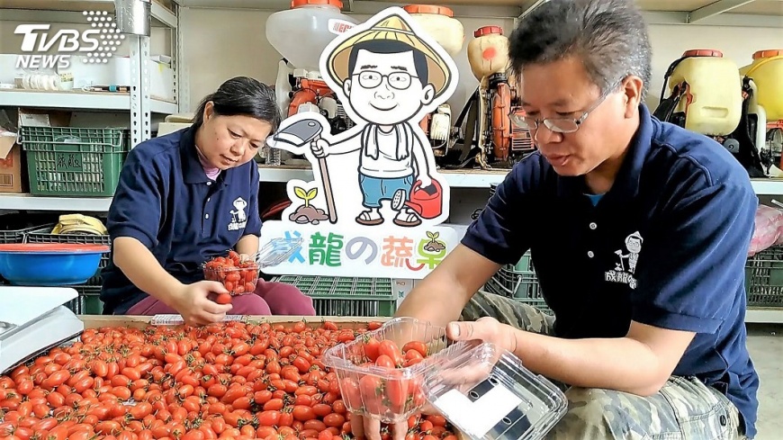 不忍年邁雙親下田 退役軍人有機耕作闖出頭