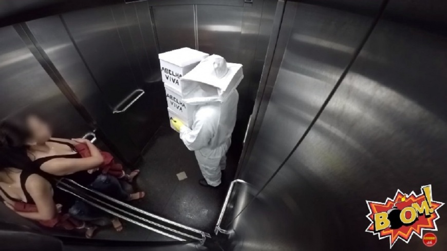 影／養蜂人打翻蜜蜂盒子　乘客崩潰大叫爬出電梯