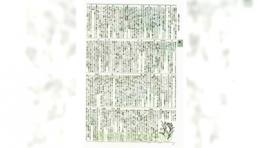 廣辭苑記述台灣惹議 岩波書店不認有錯