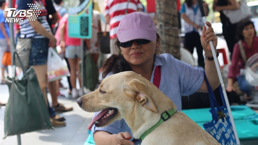 導盲犬供不應求　 惠光推無障礙家園