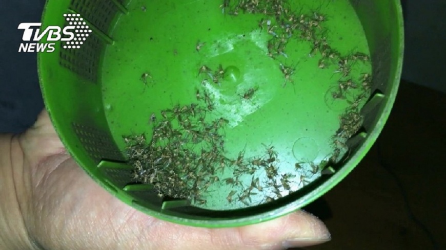 台南今年本土登革熱掛零　 賴揆：罕見