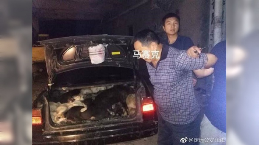 毒箭獵狗射中孕婦! 男落跑害1屍2命判死刑