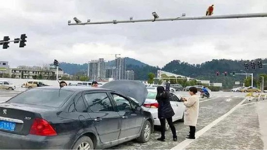 把「猴屁股」誤認紅燈 女駕駛急煞車遭追撞