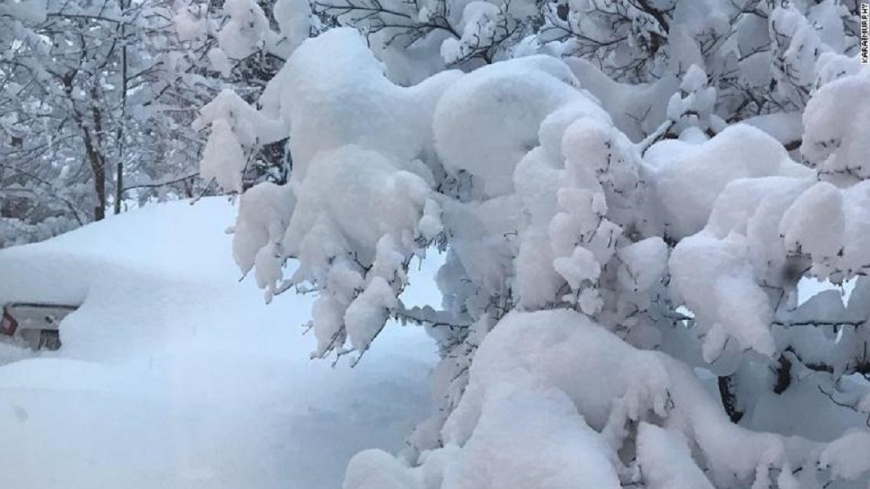 耶誕大雪破紀錄　賓州大城如棉花糖世界