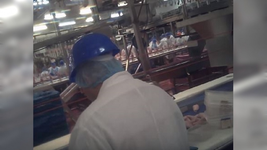 肉掉地撿起來照賣！　英媒臥底踢爆噁心工廠