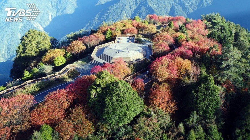 阿里山賞楓迎曙光 這裡是首推最佳景點