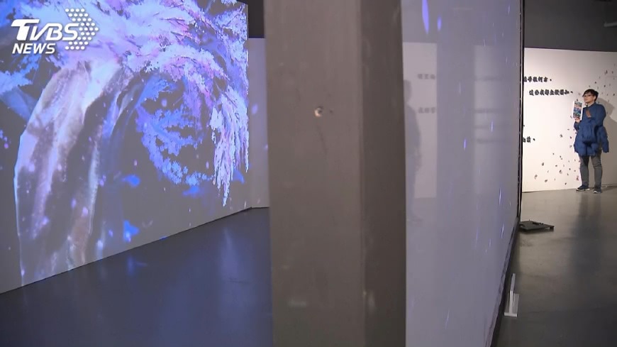 投影太唯美 新海誠展「網紗銀幕」遭踩破