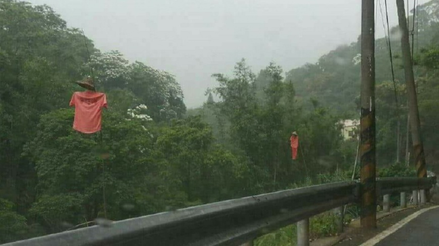 開車驚見「紅衣人」懸空飄竹林！　苦主嚇到心臟痛