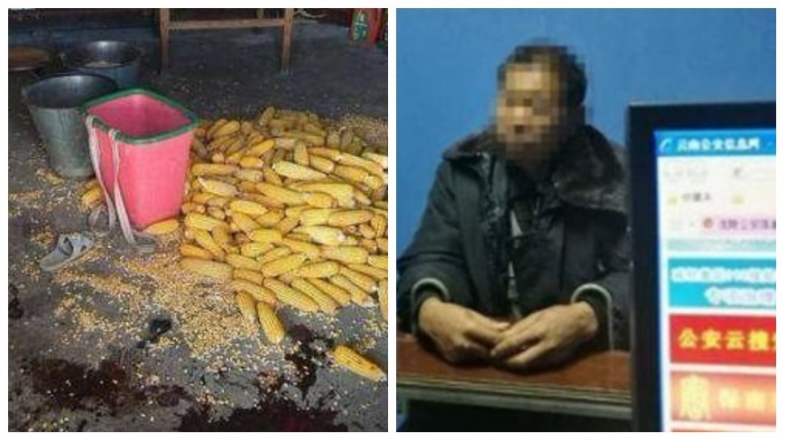圖／取自中國青年網