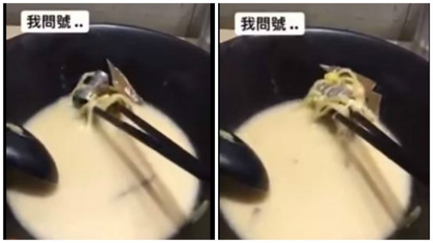 吃完拉麵見「水龍頭」藏碗底 男驚呼:以為是蛤蜊