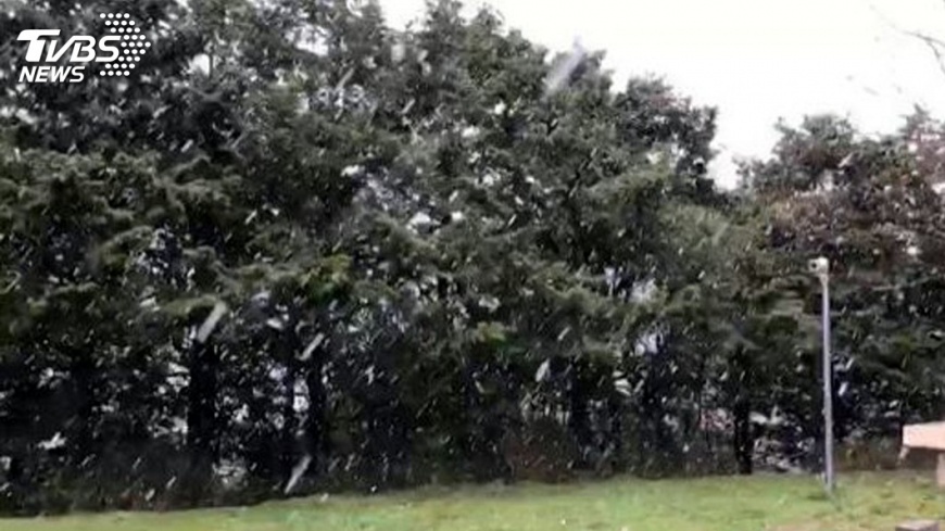 寒流發威!阿里山飄雪降冰霰 旅客又驚又喜