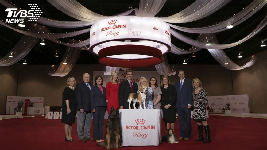 美國犬業俱樂部 成立逾百年認證192犬種