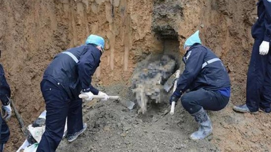 男遭毆斃!警14天鏟半座山 蒸發2年「破脾屍」見天日