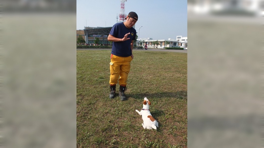 一場救援意外　成就全台首隻小型搜救犬「樂樂」