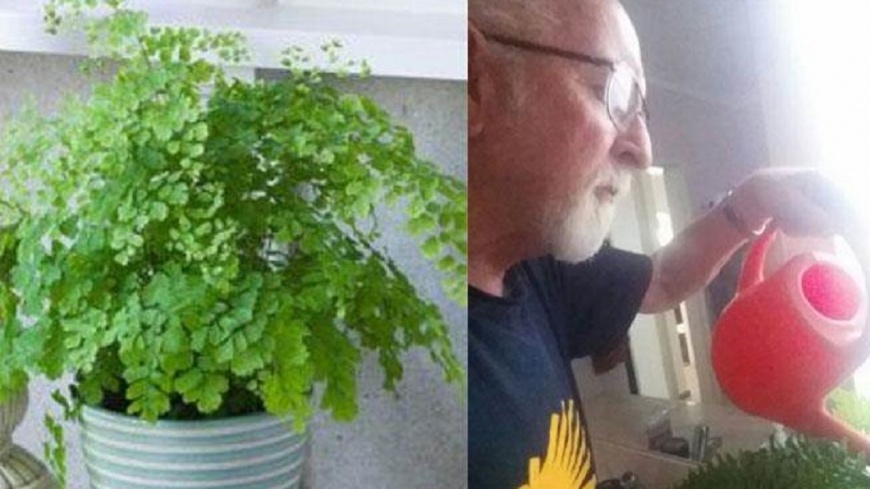 妻死前託夫澆花!5年後才知是場「充滿愛的惡作劇」