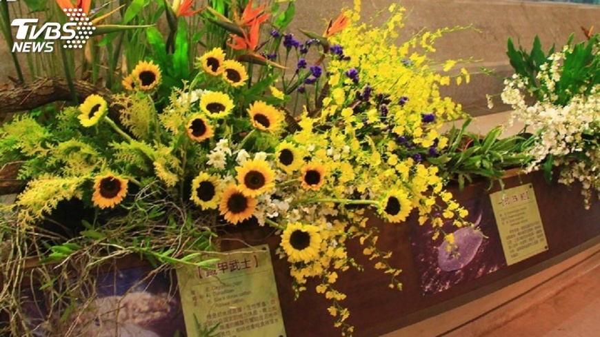 挪前瞻預算辦花博展覽 文化部:沒獨厚特定縣市