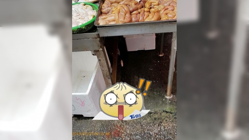 魚販拿牠當「桌腳墊」 民眾看傻幫默哀