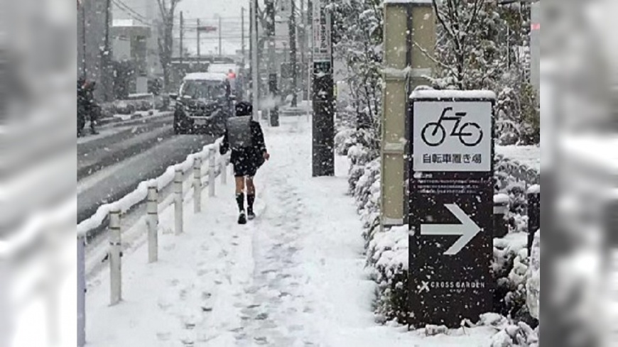 暴風雪日先住飯店 東京上班族搶不到房