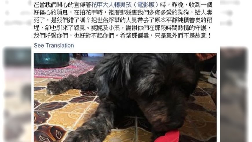 「花甲」祖厝狗被毒死 海裕芬:是我們錯了嗎?
