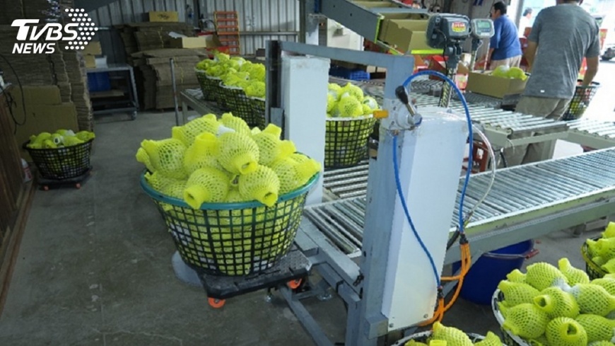 桃園年節食品抽驗 　2蔬果農藥殘留