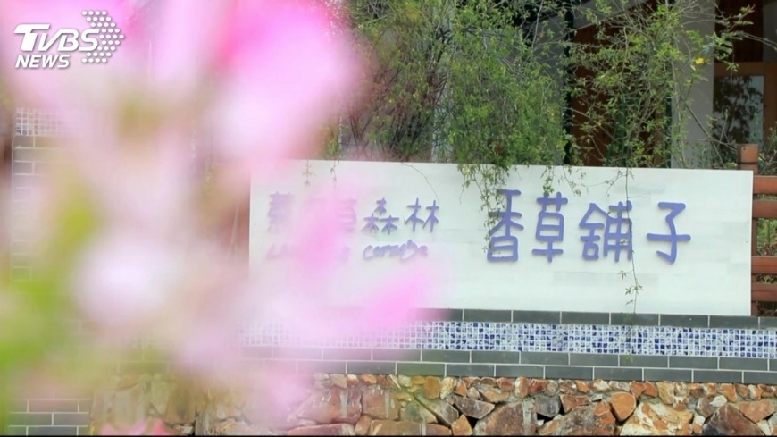 陸1千「美麗鄉村」計畫 薰衣草團隊西進