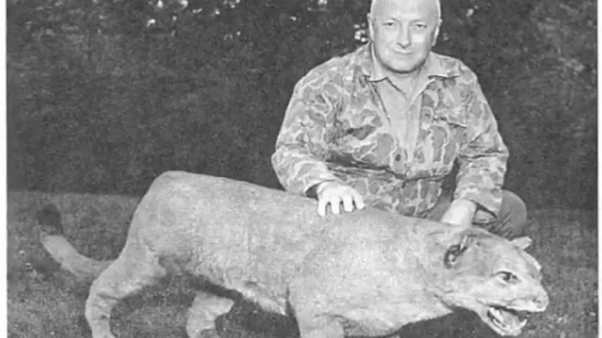 遺憾!東部美洲獅失蹤逾80年 正式宣告「絕種」