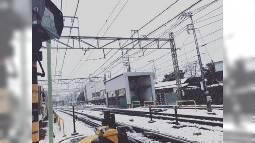 南岸低氣壓再報到 東京又降雪、交通打結