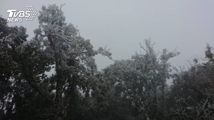 快訊/太平山降雪2千人湧入 下午2點禁止入園