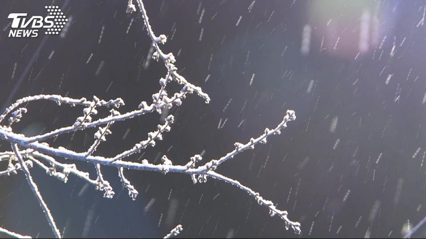 快訊／梨山福壽山農場下雪了！　露營民眾喜「撿到」