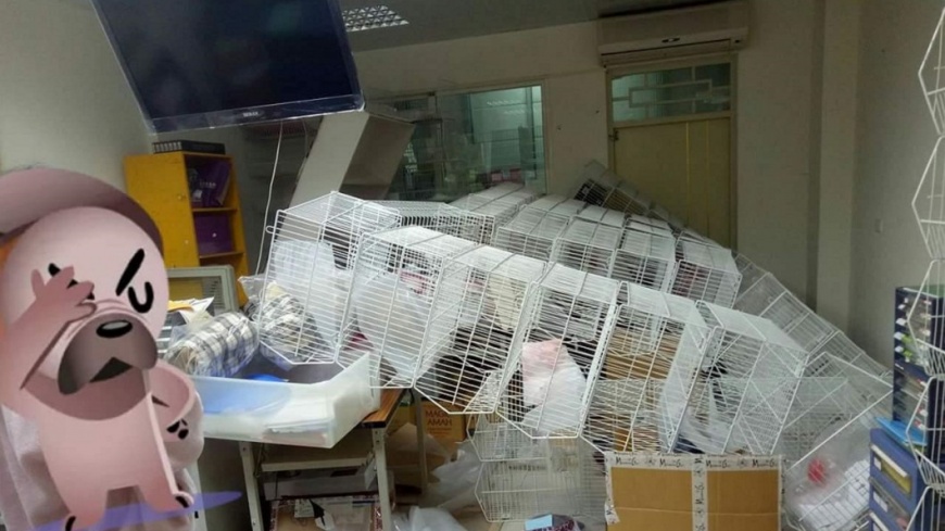 只在乎生意? 強震隔天要員工「正常上班」