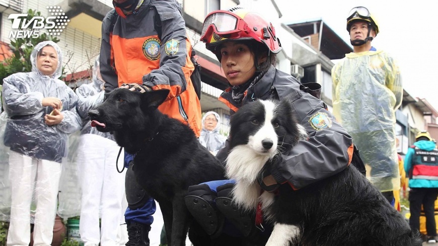 搜救犬執勤高度專注 單次出勤20分鐘