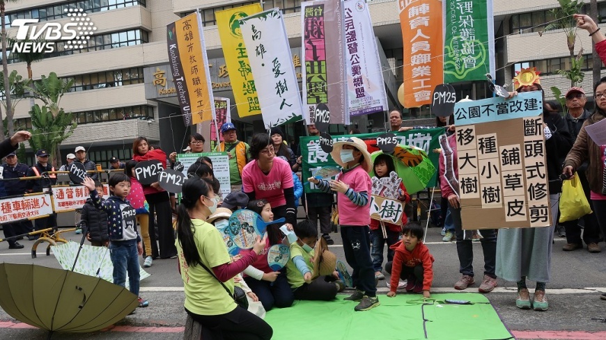 民批樹木浩劫 高市:汰換危及公安樹種