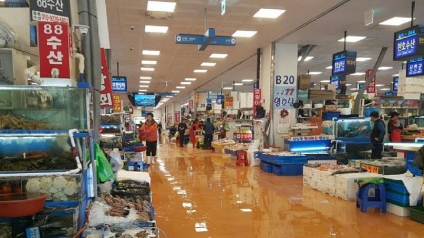 新鮮漁獲海港直送 首爾必訪鷺梁津市場