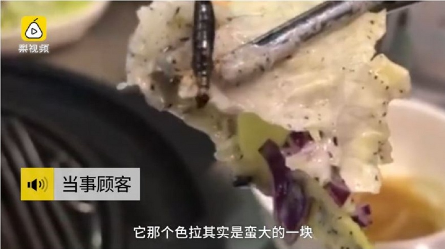吃烤肉咬到活蟲 店家:都是蔬菜的錯