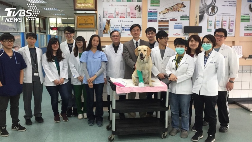 搜救犬鐵雄康復了! 罐頭加菜歡喜過年