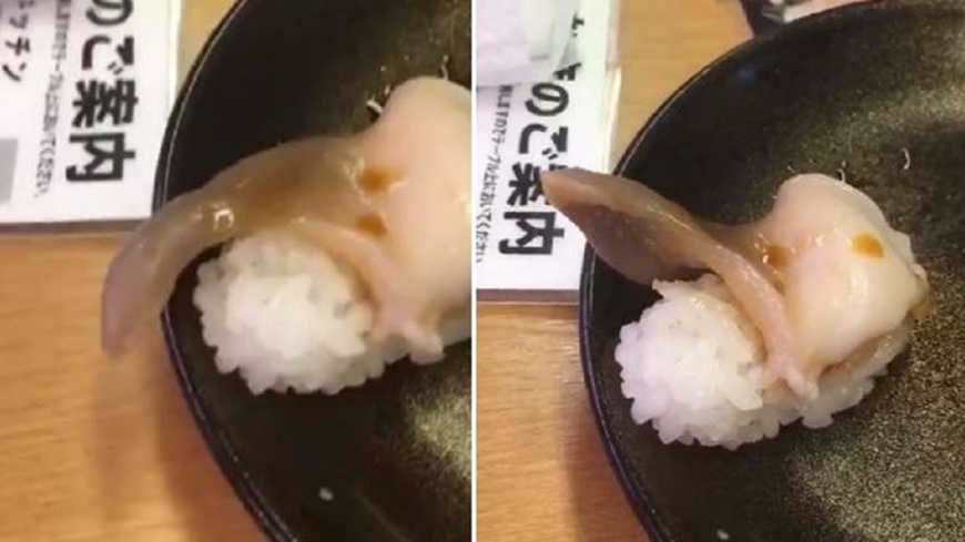 生魚片硬了!6百萬人眼中「翹起來」 他咬下激喊新鮮
