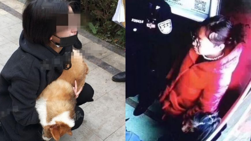 摔死走失犬還勒索飼主 她被肉搜嗆:下次會灌醉狗