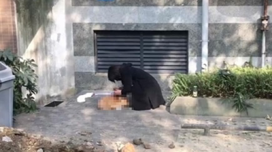發現愛犬被摔死,Zero旦旦難過痛哭