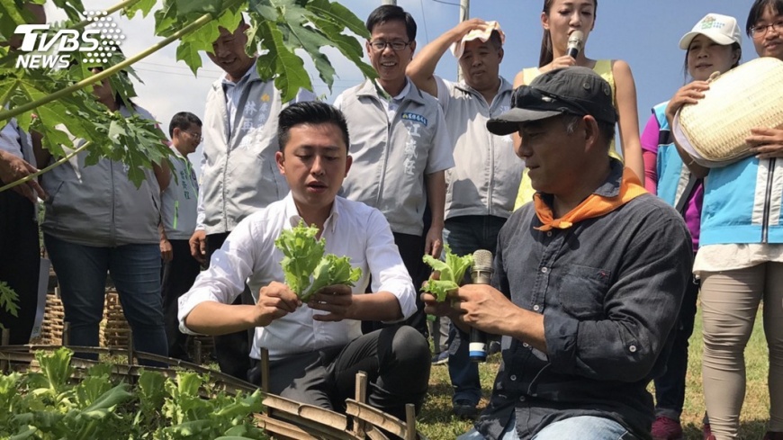 竹市推都會造土計畫 廚餘稻草種菜超環保