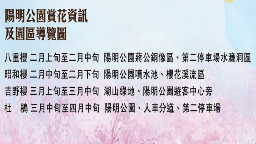 圖／陽明山花季官網