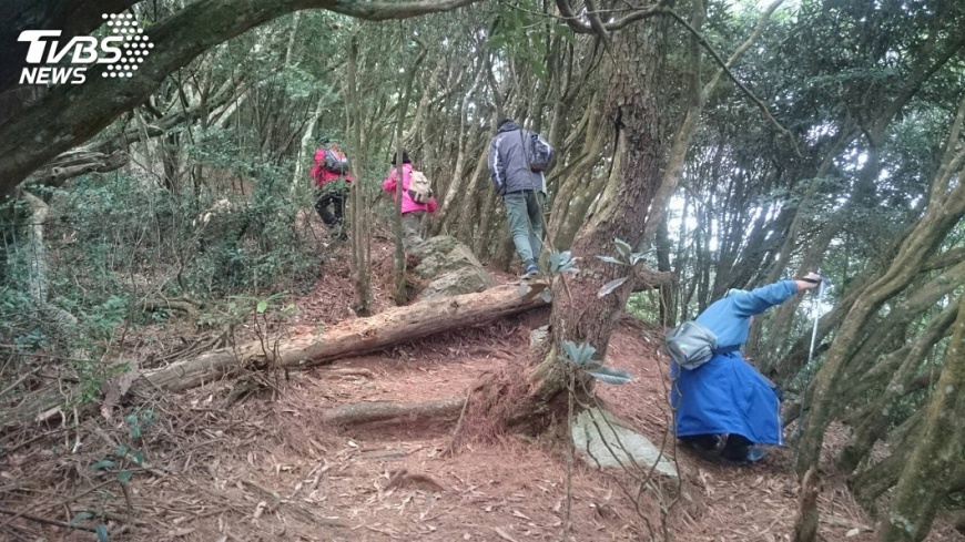 登山險3大修正 1人也能投保