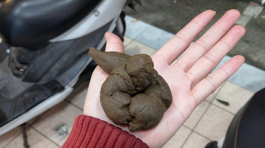 有網友花了300元夾逼真狗屎。翻攝/爆廢公社