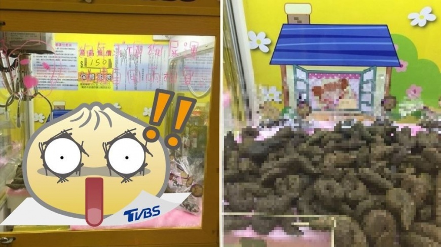 求狗屎運!超狂夾娃娃機 竟堆滿逼真「便便」