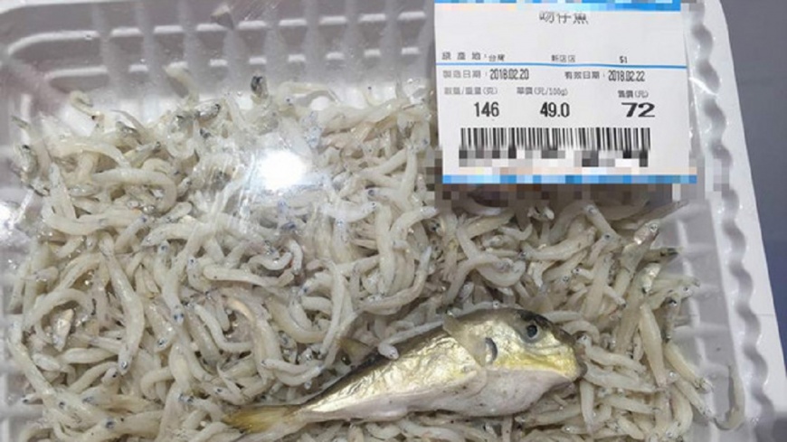 賺到?賣場驚見「吻仔魚王」 網友勸阻:千萬別買