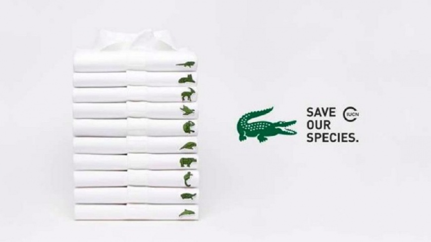 Lacoste新logo！　經典綠鱷魚變瀕危動物