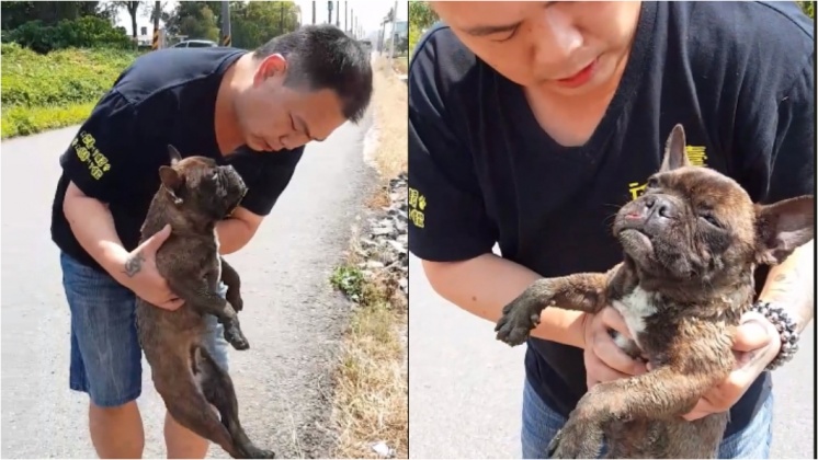 受傷的法鬥被徐文良救起
